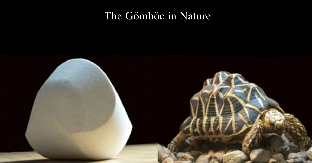 Gömböc in the nature_0 (1)