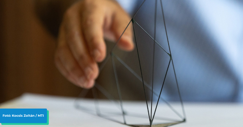 The picture shows Bille on a white table, with a hand reaching towards it.